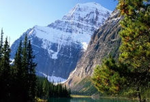  Faker关键节点大胜，日本队带队取胜！